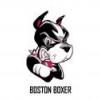Boston Boxer